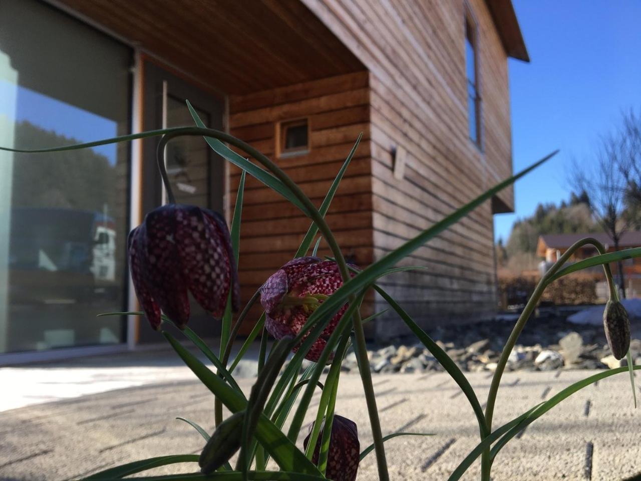 Gaestewohnung Zum Atelier Immenstadt im Allgäu Extérieur photo